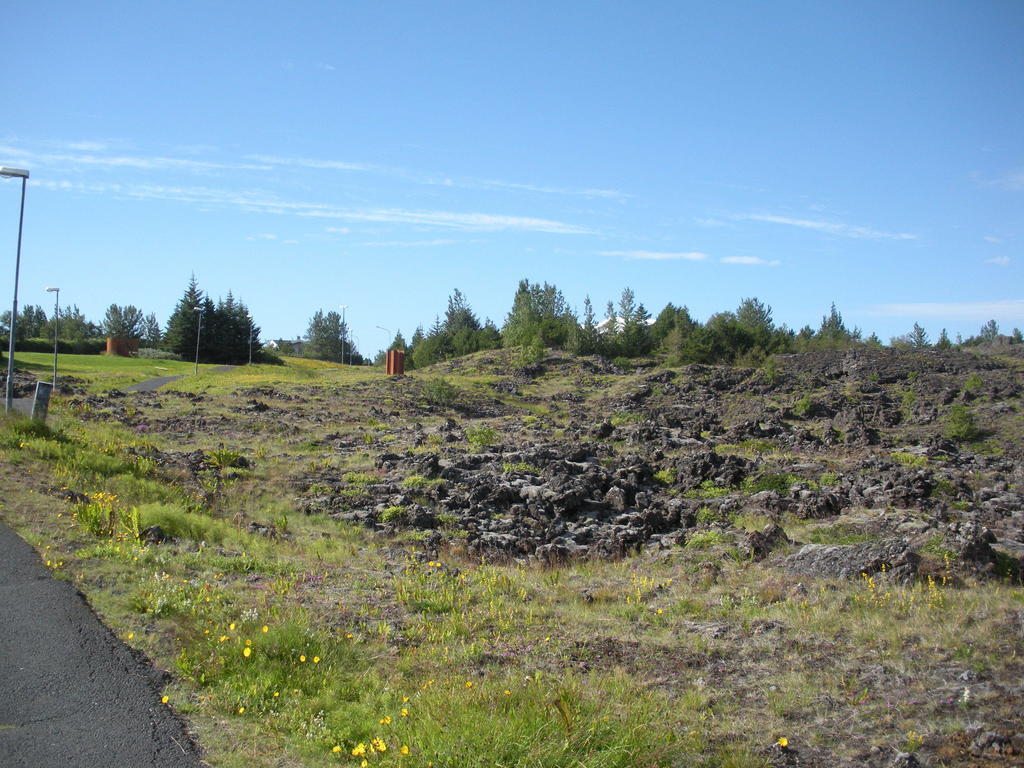 Lava Hostel Hafnarfjörður Стая снимка